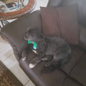 Meet your Posher, Jurenda